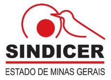 logo sindicer